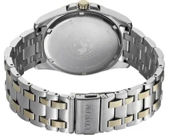 Citizen Elegance