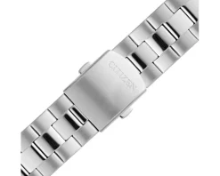 Citizen Elegance