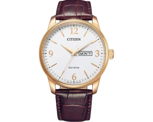 Citizen Leather