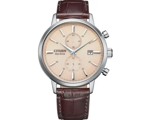 Citizen Vintage