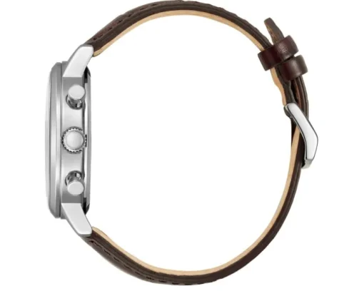 Citizen Vintage