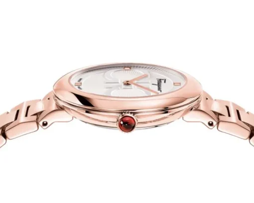 Ferragamo Chic