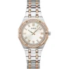 Guess Desire
