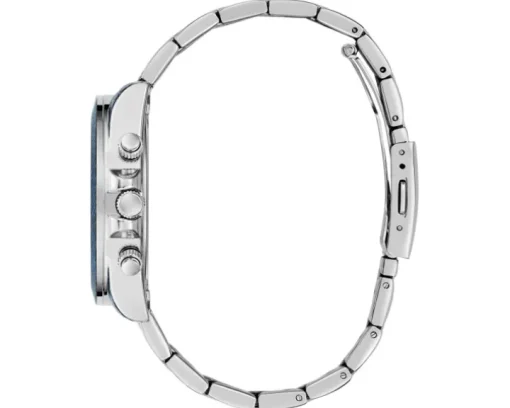 Guess Indigo