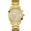 Guess Solar