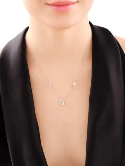 Naszyjnik srebrny z cyrkoniami - łapka, kość, serce