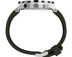 Timex Compass