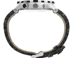 Timex Compass