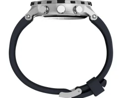 Timex Compass