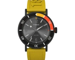 Timex Standard