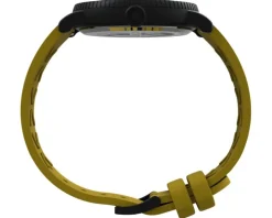 Timex Standard