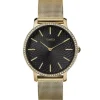 Timex Transcend