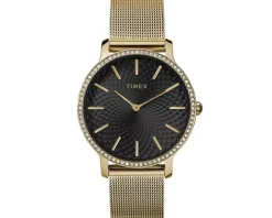 Timex Transcend