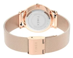 Timex Transcend