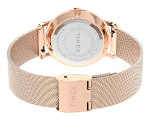 Timex Transcend
